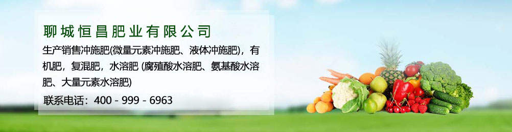 聊城恒昌肥業(yè)有限公司